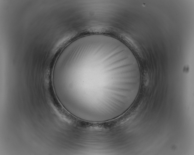 X0000091920586200709261644