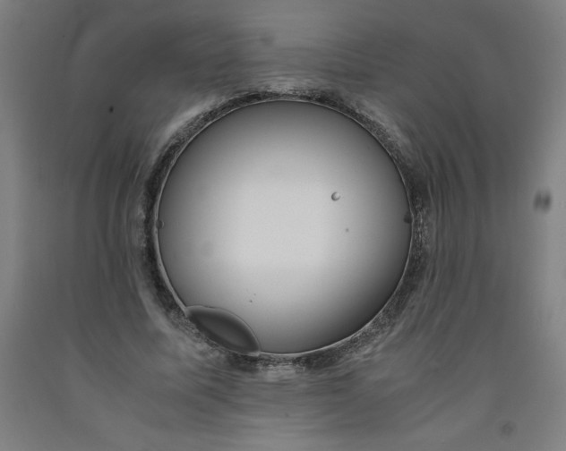 X0000091920587200709261644