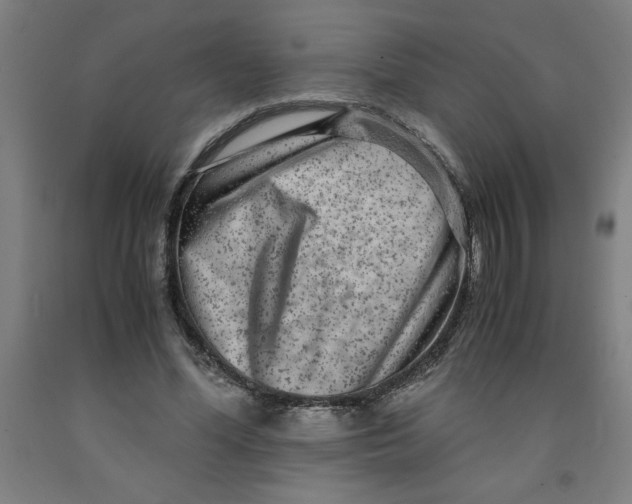 X0000091920588200709261644