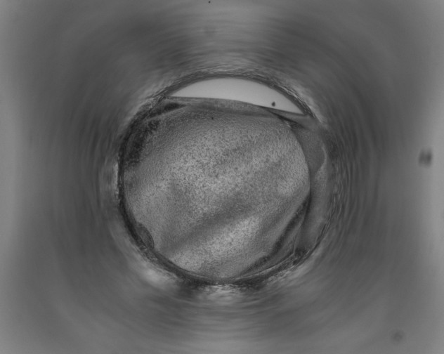 X0000091920589200709261644