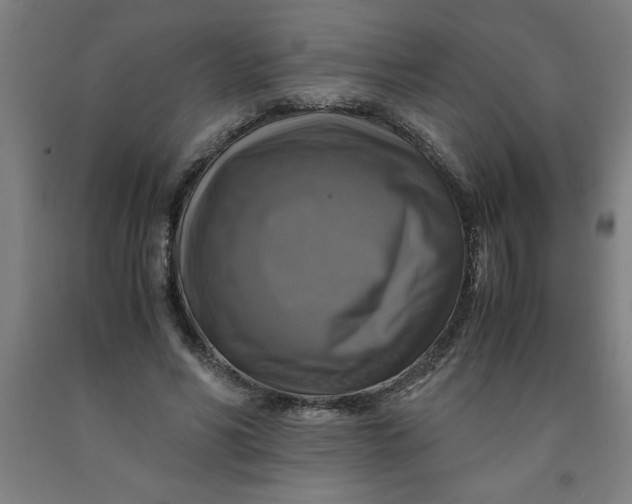 X0000091920590200709261644