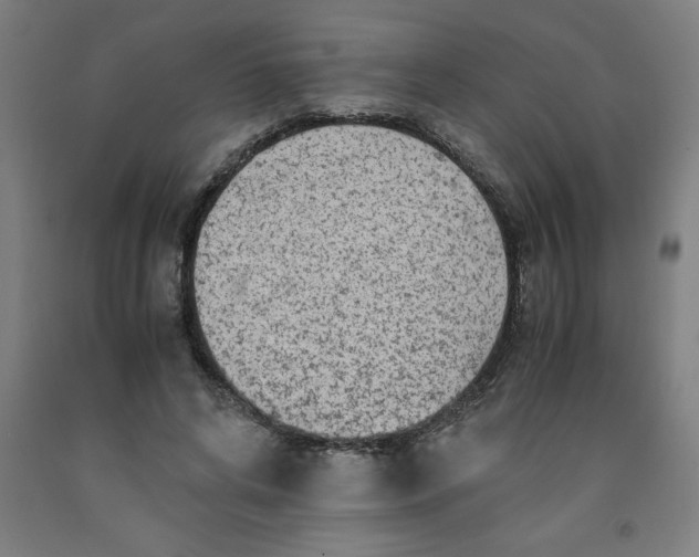 X0000091920592200709261644