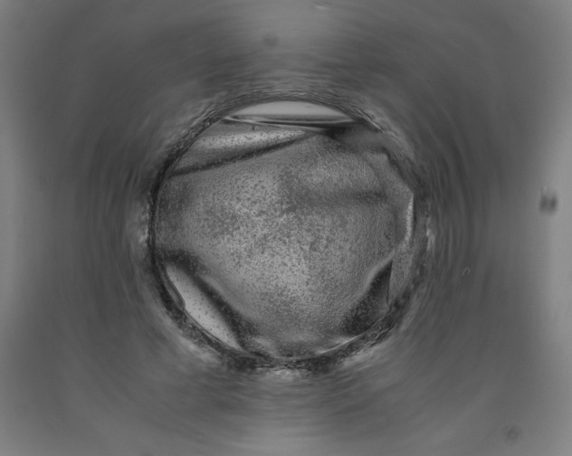 X0000091920593200709261644