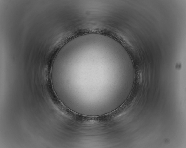 X0000091920594200709261644