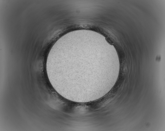 X0000091920595200709261644