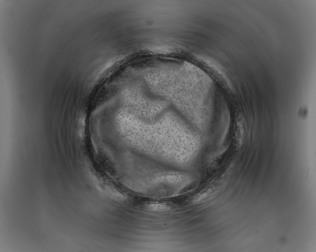 X0000091920596200709261644