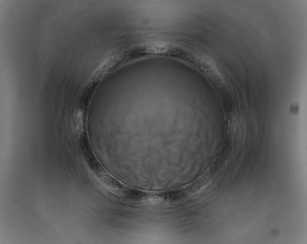 X0000091920598200709261644