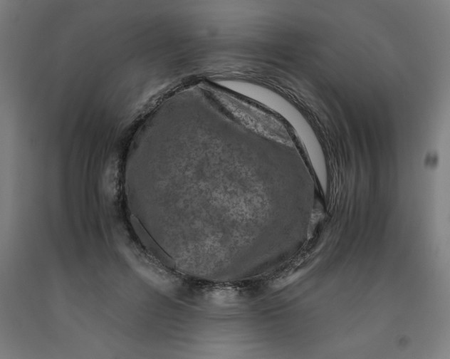 X0000091920600200709261644