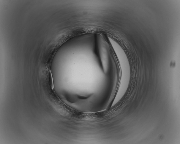 X0000091920601200709261644