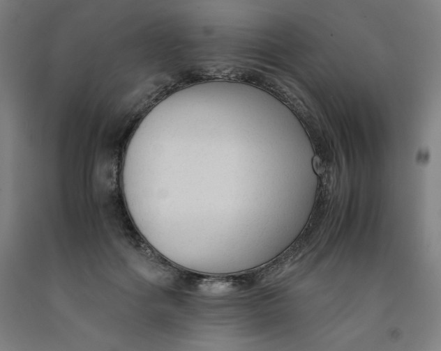 X0000091920602200709261644