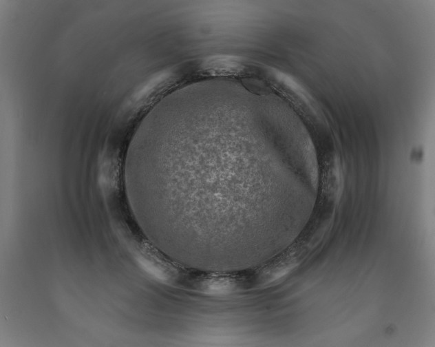 X0000091920604200709261644