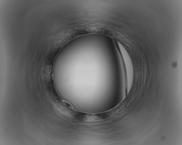 X0000091920605200709261644