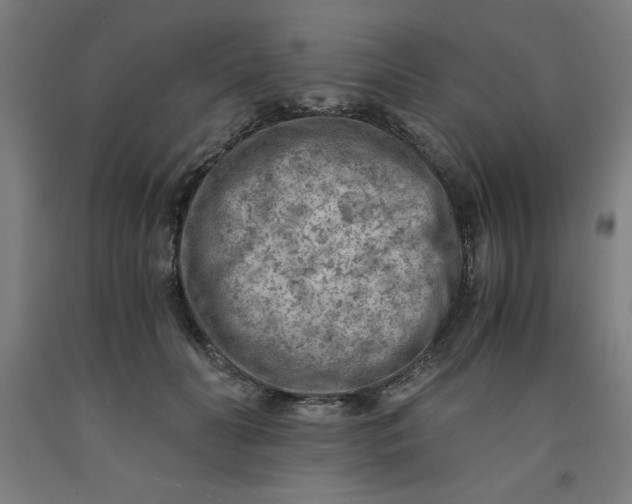 X0000091920606200709261644