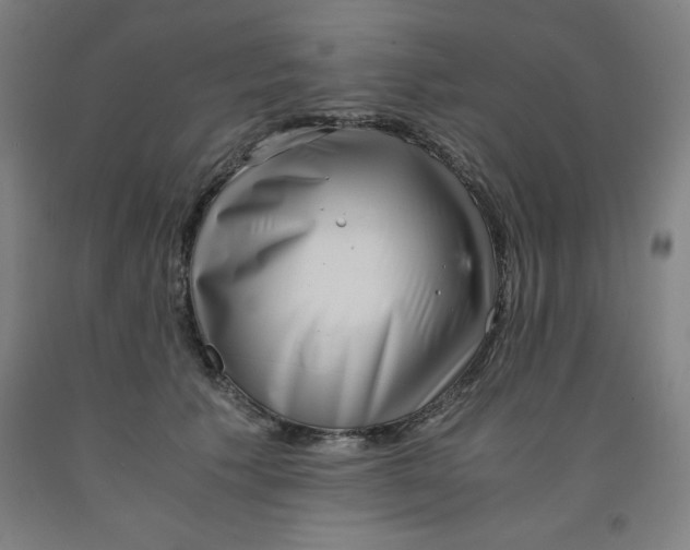 X0000091920609200709261644