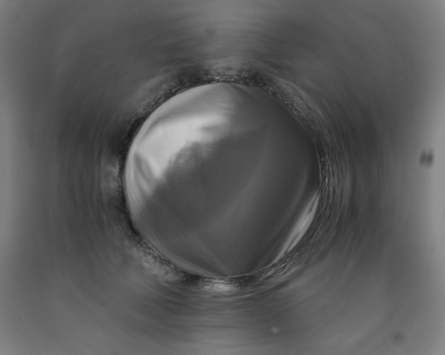 X0000091920610200709261644