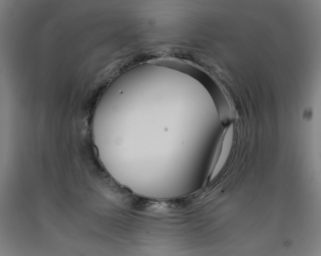 X0000091920611200709261644