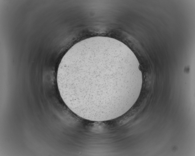 X0000091920612200709261644