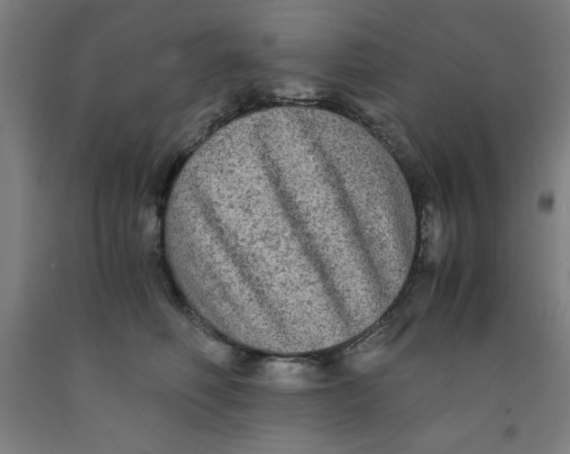 X0000091920614200709261644