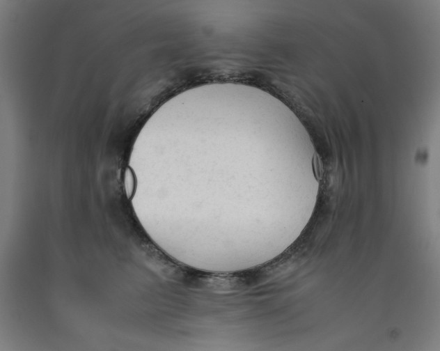 X0000091920615200709261644