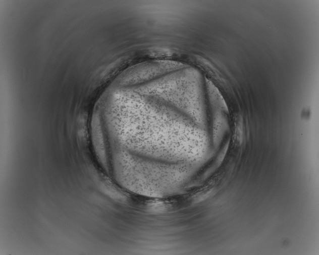 X0000091920616200709261644