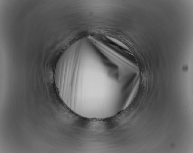 X0000091920617200709261644