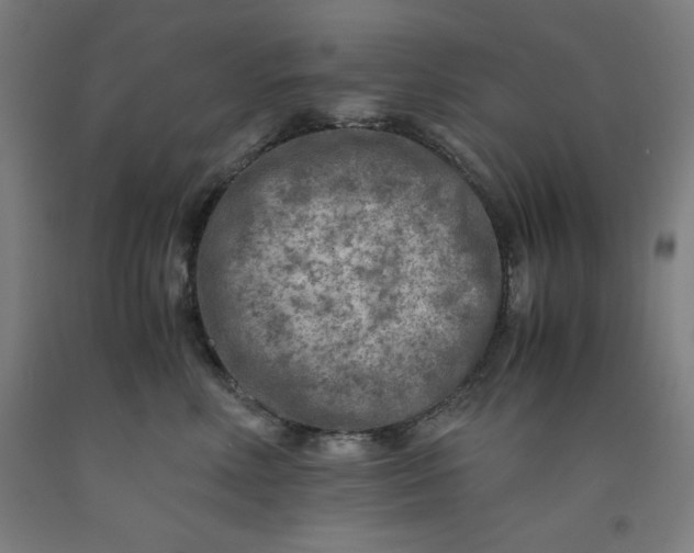 X0000091920618200709261644