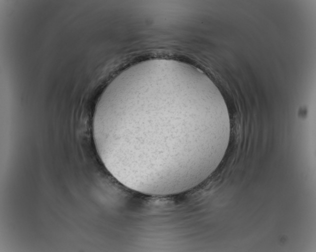 X0000091920619200709261644