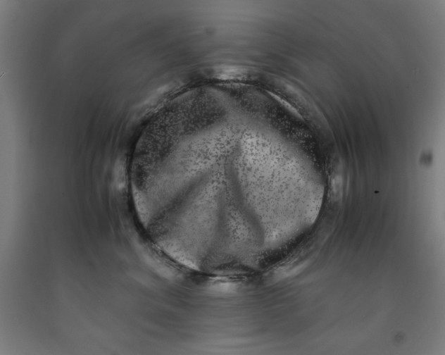 X0000091920620200709261644