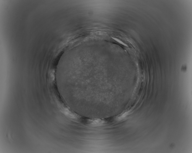 X0000091920621200709261644