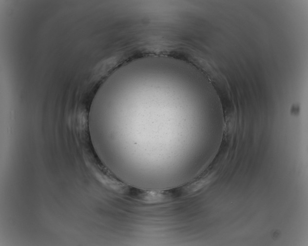 X0000091920623200709261644