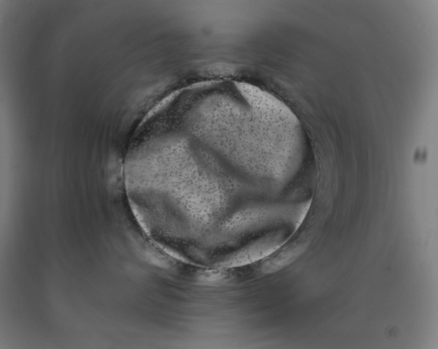 X0000091920624200709261644