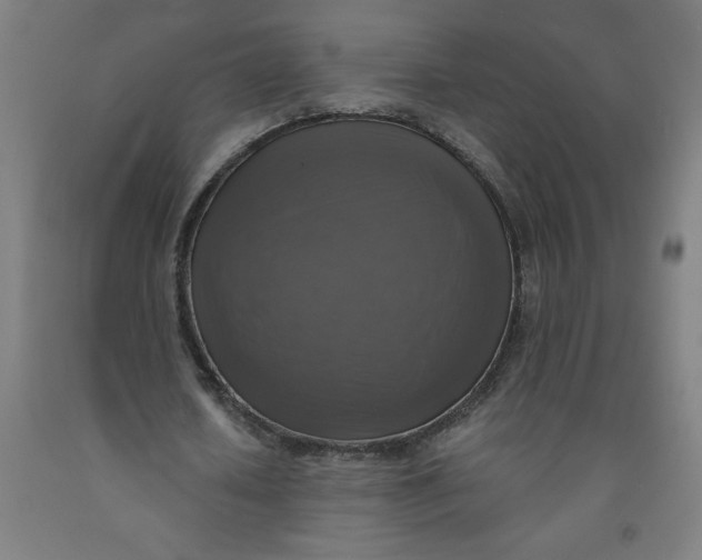 X0000091920626200709261643