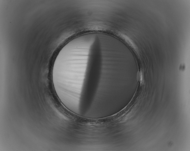 X0000091920627200709261643