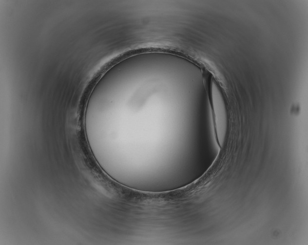 X0000091920628200709261643