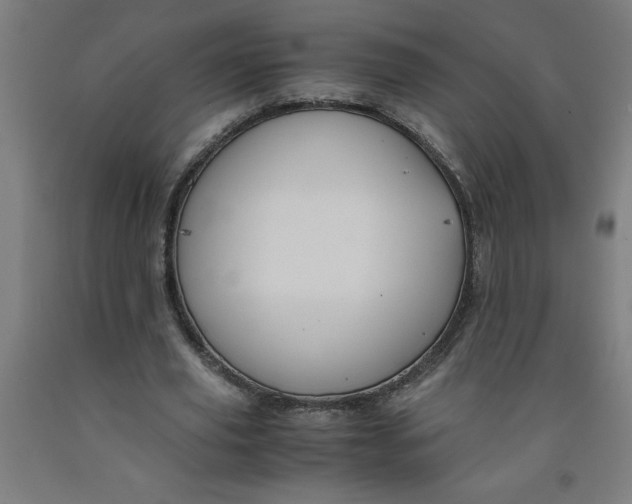 X0000091920629200709261643