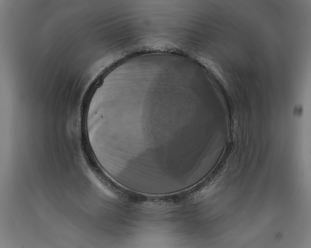 X0000091920630200709261643