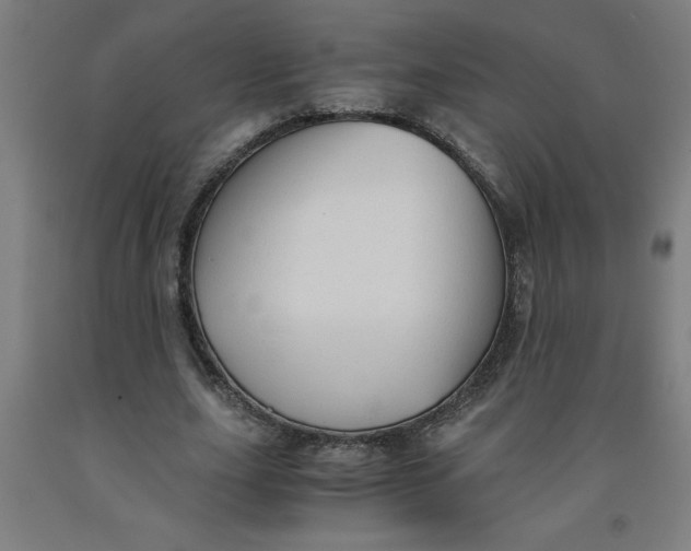 X0000091920631200709261643