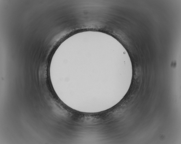 X0000091920632200709261643