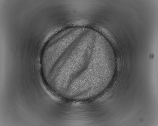 X0000091920634200709261643