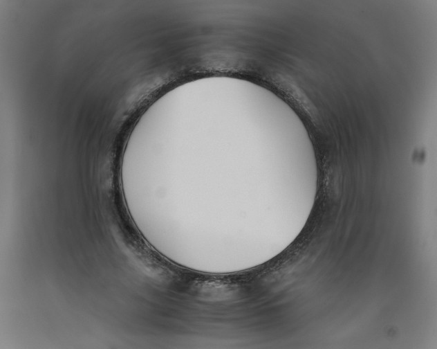 X0000091920635200709261643