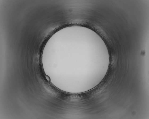 X0000091920636200709261643