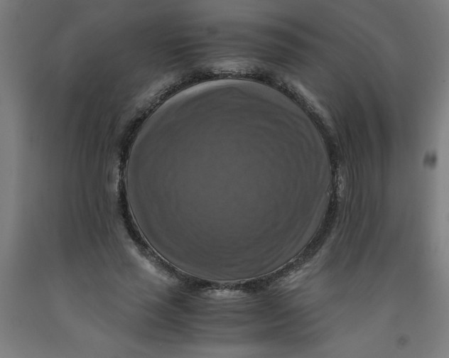 X0000091920637200709261643