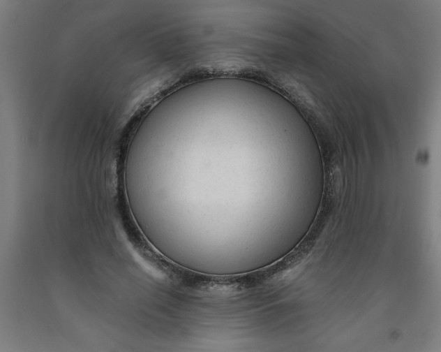 X0000091920638200709261643