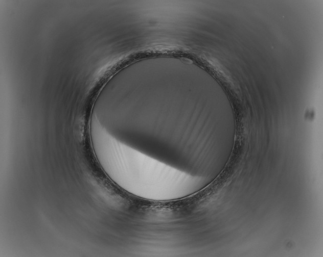 X0000091920640200709261643