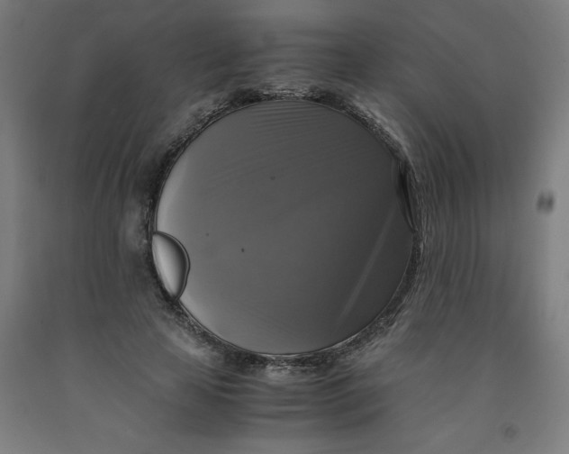 X0000091920641200709261643