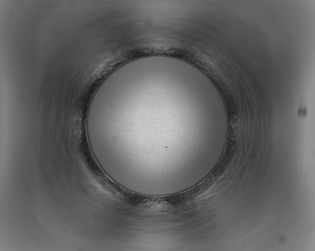 X0000091920642200709261643