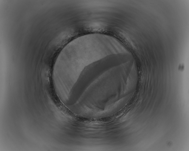 X0000091920643200709261643