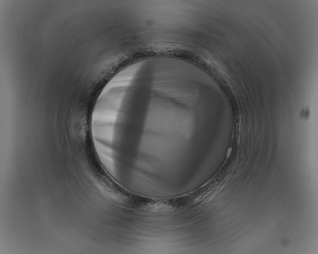 X0000091920644200709261643