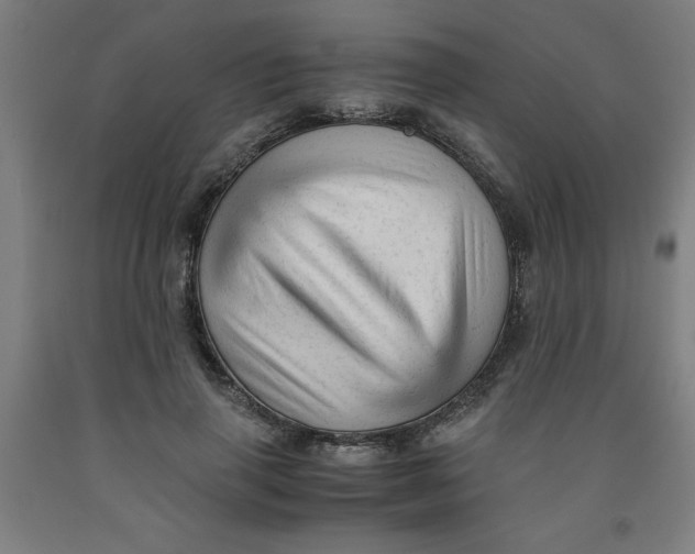 X0000091920645200709261643