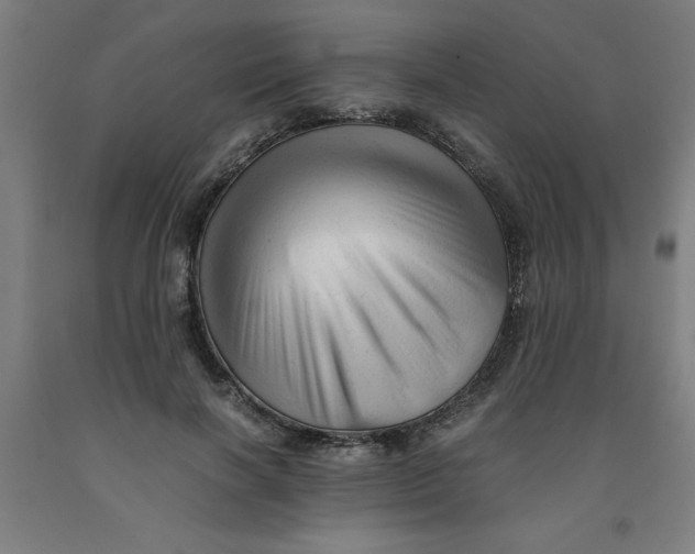 X0000091920646200709261643